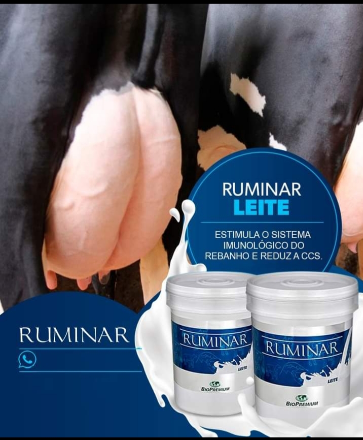 RUMINAR LEITE