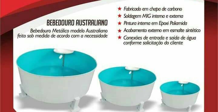 Suporte de Cochos e Bebedouro Australiano