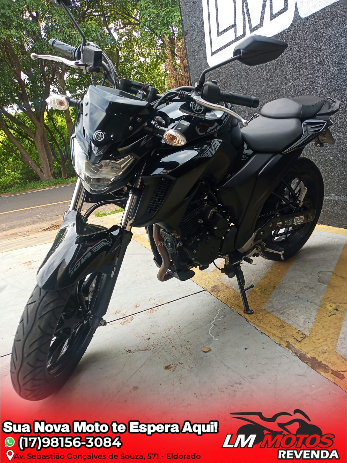 Fz 25 hot sale 2020